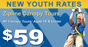 newcanopyyouthrate59