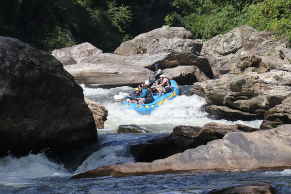 Chattooga 