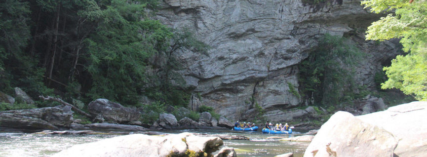 Chattooga River Wildwater