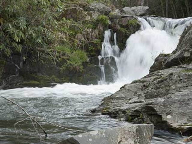 nantahala jeep tours