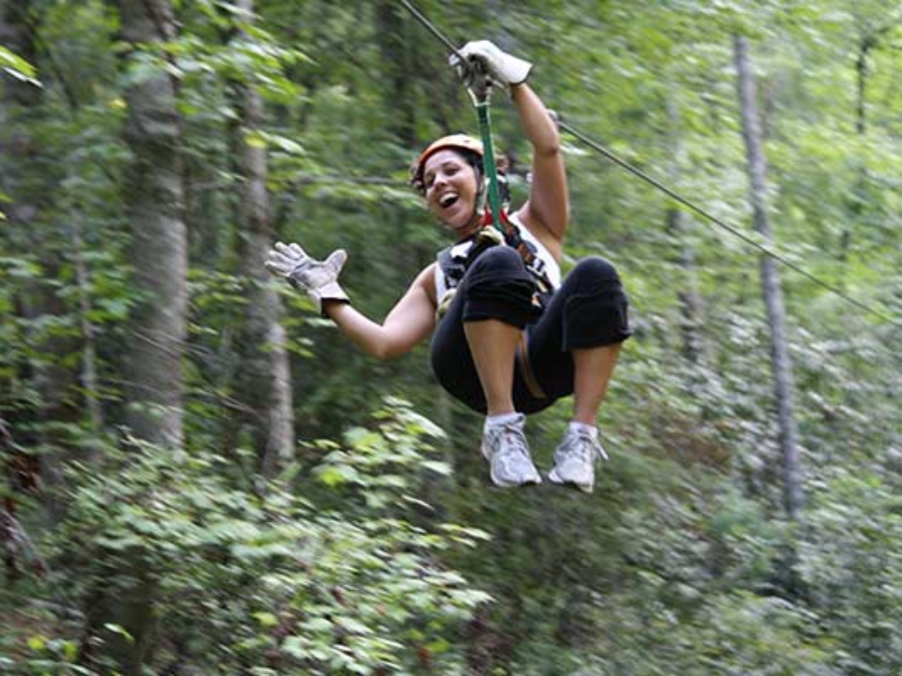 Nantahala Gorge Canopy Tours, Ziplining